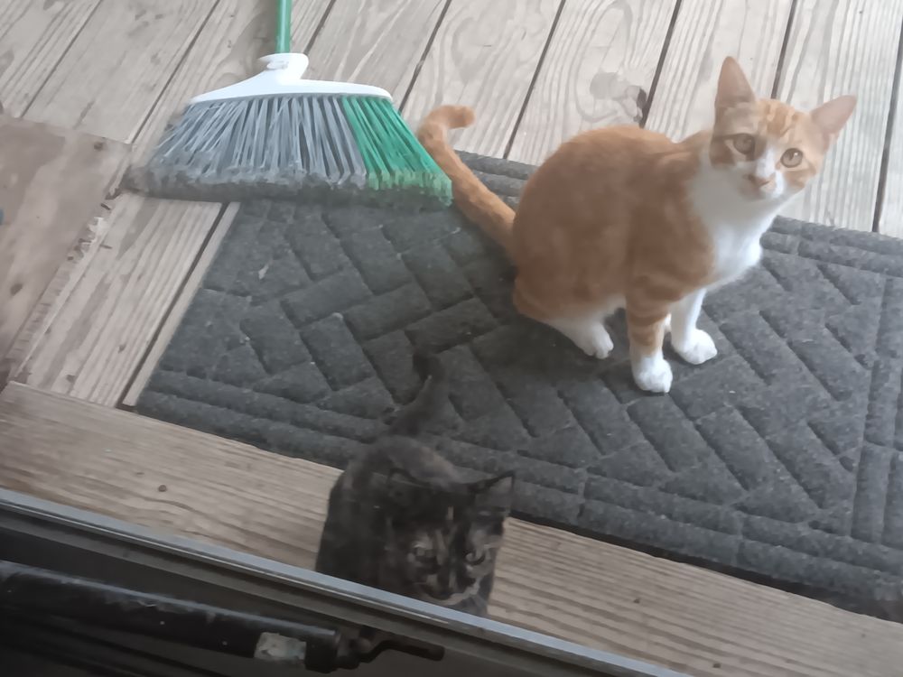 Emma's Butt Care - social services organization in Jackson, MS