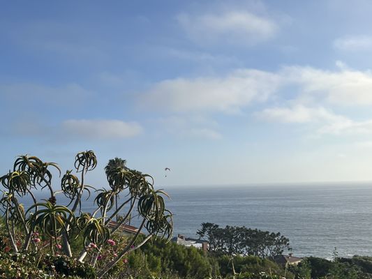 1000 Steps Beach by null