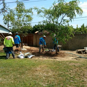 Moon Valley Nurseries - Tree Services Near Me - Chino, California Moon Valley Nurseries - Tree Services Near Me - Chino, California