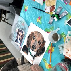 Twisted Art and More