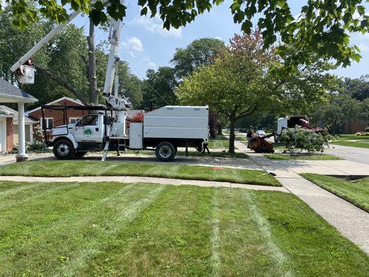 THE MICHIGAN PROPERTY NETWORK - Updated June 2026 - 20 Photos & 21 ...