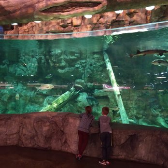 Bass Pro Shop - Guns & Ammo Near Me - Memphis, Tennessee Bass Pro Shop - Guns & Ammo Near Me - Memphis, Tennessee