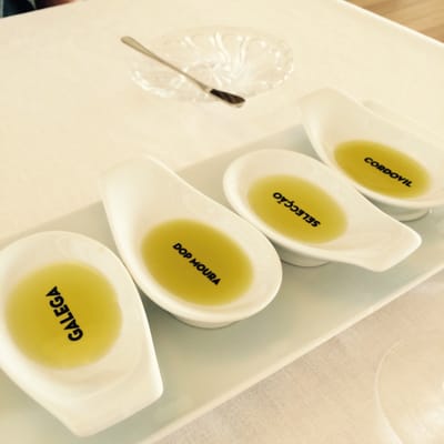 Herdade do Esporão Restaurant by null