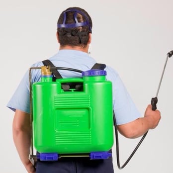 Condor Pest Control - Pest Control Near Me Condor Pest Control - Pest Control Near Me