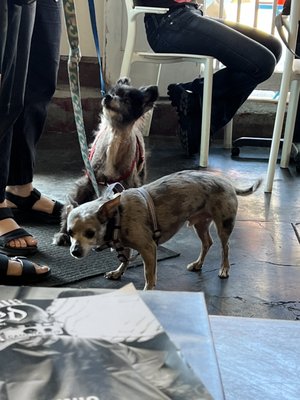 Petite Clouet Café by null