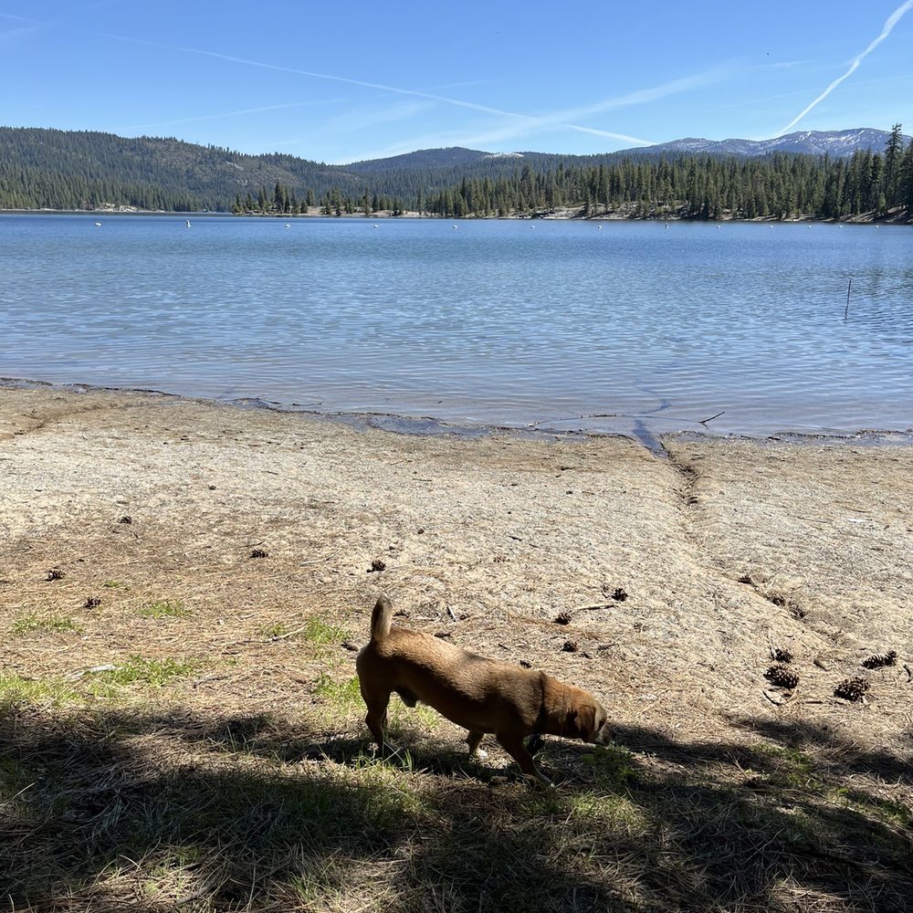 Fashoda Campground - Lake - Hiking Near Me - Pollock Pines, California