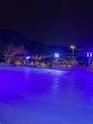 Ice at Santa Monica by null
