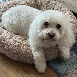 Holly: Thank you for your patience today. I feel special.