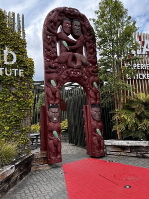 Te Puia - Rotorua, NZ by null