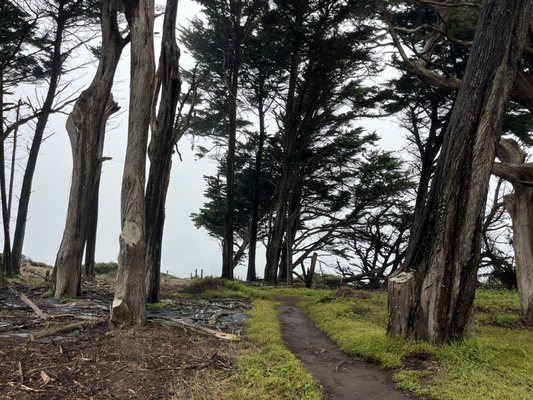 Batteries to Bluffs Trail by null
