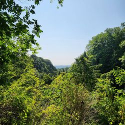 Tews Falls