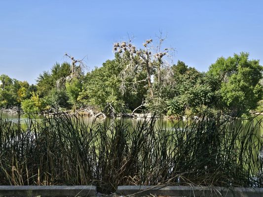City Park West by null
