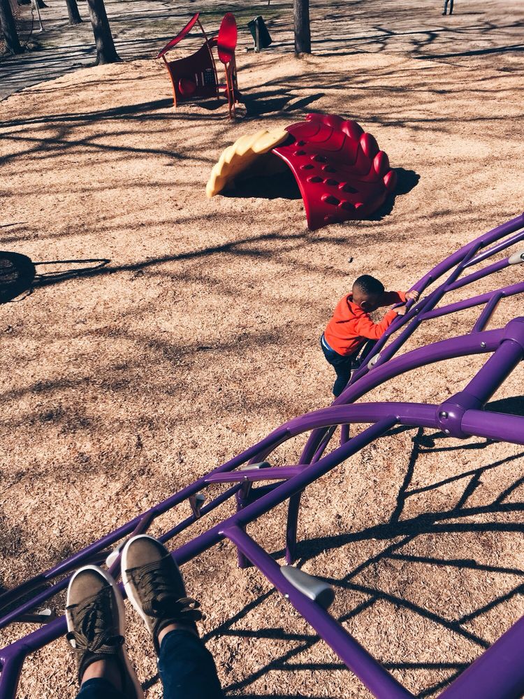 Herman Park Image