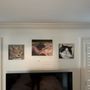 Photo of Veterinary Way Animal Hospital