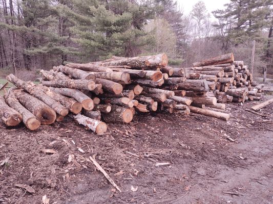 1/8 Cord - This is a 3 feet x 4 feet by 16" length firewood to make an approximate 1/8 cord delivery, other sizes are available up to a full cord, delivered on your schedule, most often quarterly, monthly or semi annual available as well. Stacking to your wood rack is included in your subscription. 1/8 Cord - This is a 3 feet x 4 feet by 16" length firewood to make an approximate 1/8 cord delivery, other sizes are available up to a full cord, delivered on your schedule, most often quarterly, monthly or semi annual available as well. Stacking to your wood rack is included in your subscription.