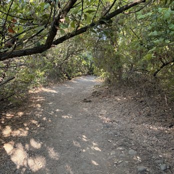 Santiago Oaks Regional Park - Well marked trails - Parks Near Me - Orange, California