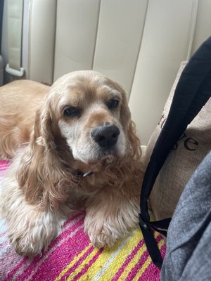 Winslow Animal Clinic