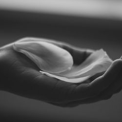 Westwood Hills Hand Therapy