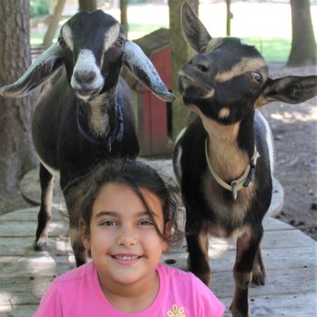 SJ Riding Camp - Our mini farm animals are always eager to play with our campers! - Horseback Riding Near Me - Ellington, Connecticut