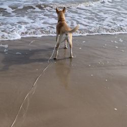 Bryan Beach - Jac was amazed the first time laid eyes on gulf.