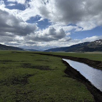 Yellowstone Wild - Lamar Valley - Tours Near Me