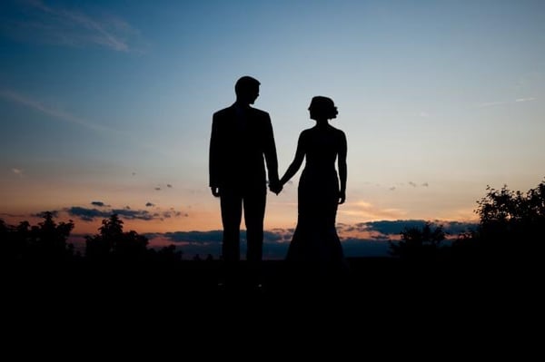 Alyson's Orchard by null