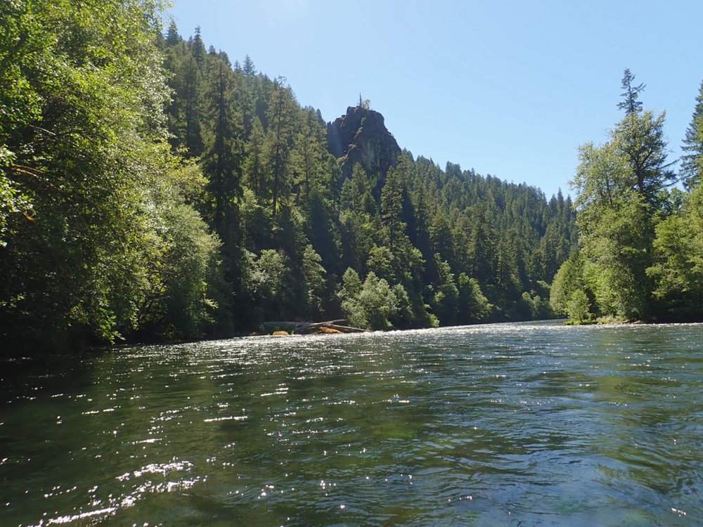 RIPARIAN TOURS Updated October 2024 2617 Kincaid St, Eugene, Oregon