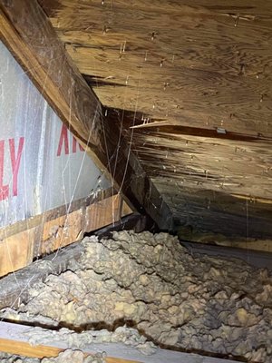 The Remodeling Company