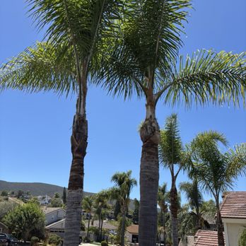 Active Landscape And Tree Service - Tree Services Near Me