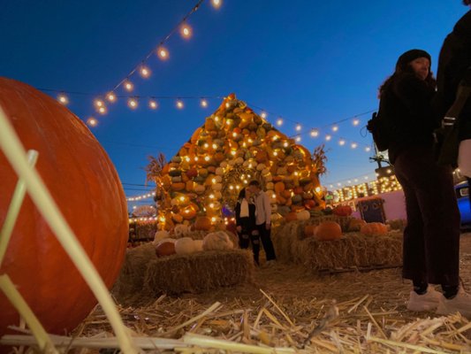 Jack's Pumpkin Pop-up by null
