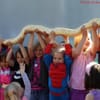 Fur, Scales and Tails Animal Shows gift card