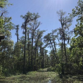 Ultimate Swamp Adventures - Cool little "secret" area the bigger pontoon type your couldn't get back to - Tours Near Me - Westwego, Louisiana Ultimate Swamp Adventures - Cool little "secret" area the bigger pontoon type your couldn't get back to - Tours Near Me - Westwego, Louisiana