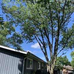 Munoz Landscaping Lawncare