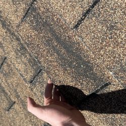 Lifetime Quality Roofing - Creased / Unsealed - Weather Related