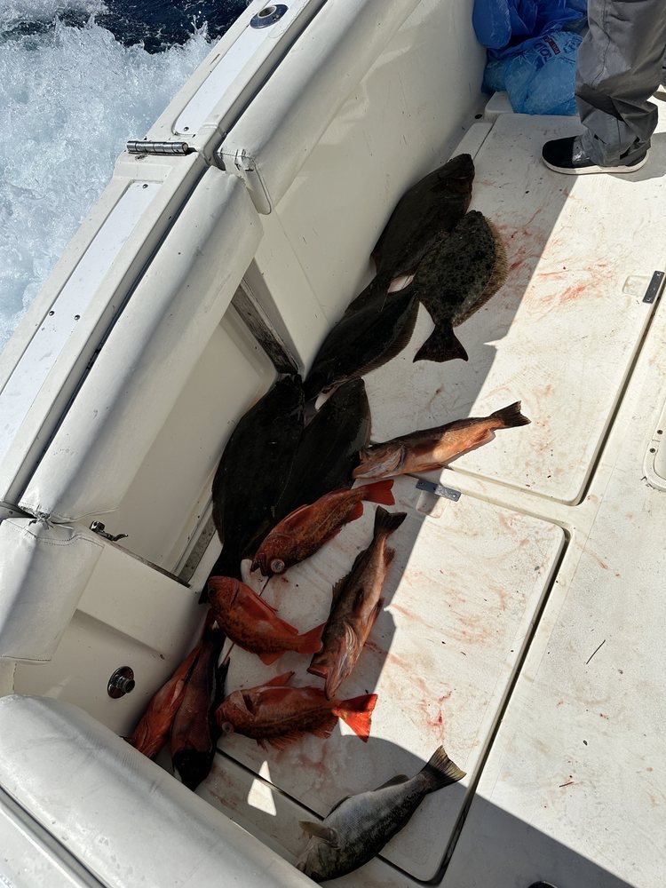 Bongos Sportfishing Charters