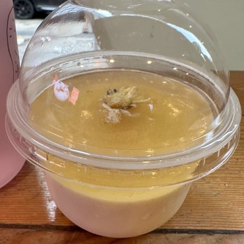 Bibble & Sip - Honey Crysanthemums Panna Cotta - Coffee & Tea Near Me - New York, New York Bibble & Sip - Honey Crysanthemums Panna Cotta - Coffee & Tea Near Me - New York, New York