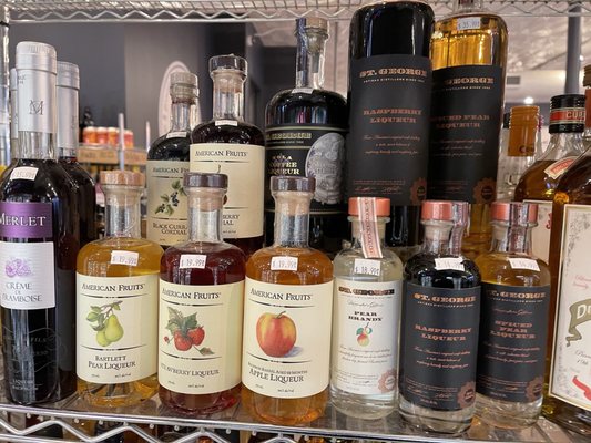 The Wise Old Dog by null