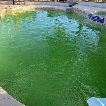 Squeaky Clean Pools - From green to clean! - Pool Cleaners Near Me Squeaky Clean Pools - From green to clean! - Pool Cleaners Near Me