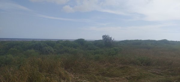 Sea Rim State Park by null