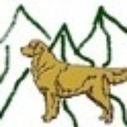 Lost Mountain Dog Training