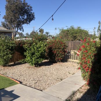 Charles Tree Service - Before - Tree Services Near Me - Lemon Grove, California