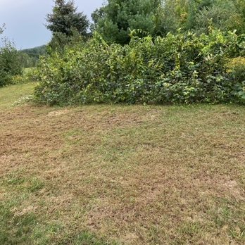 Firmly Rooted Landscaping - a patch of grass and bushes in the foreground - Landscaping Near Me - Weare, New Hampshire Firmly Rooted Landscaping - a patch of grass and bushes in the foreground - Landscaping Near Me - Weare, New Hampshire