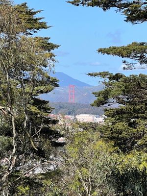 Buena Vista Park by null