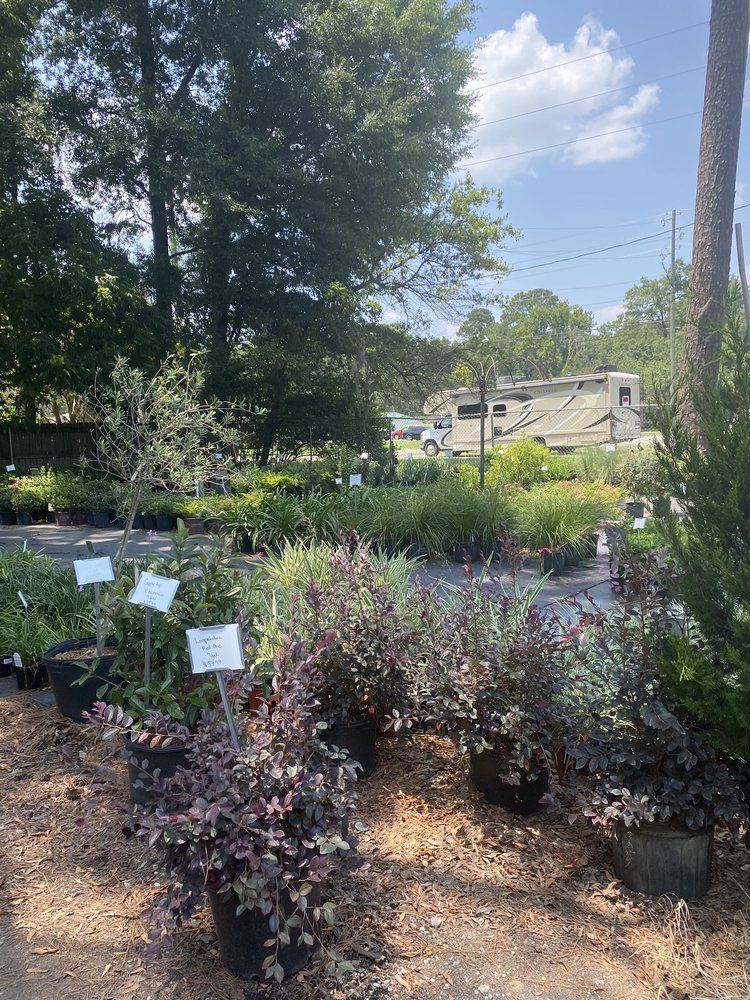 FANCY PLANTS Updated September 2024 17 Photos 703 E Montgomery Cross Rd, Savannah,