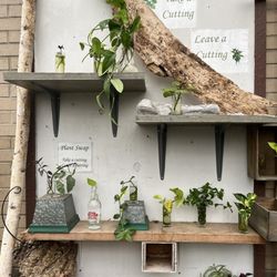 VanderSalm's Flower Shop & Garden Center - Cutting wall