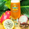Anecdote Brewing Company gift card