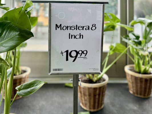 Whole Foods Market by null