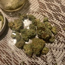 Stonerz Club