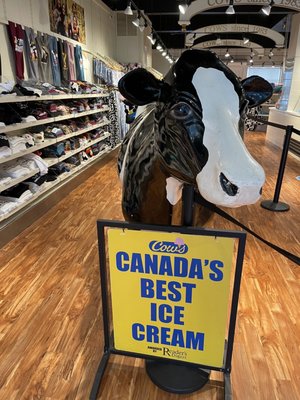 COWS Niagara-On-The-Lake by null