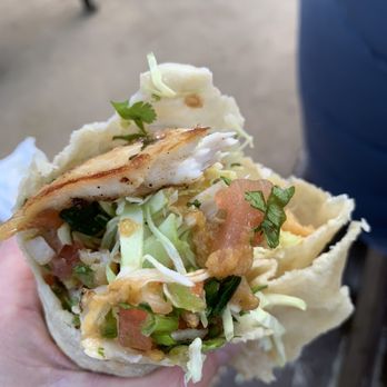 Belching Beaver Pub 980 - Mahi burrito - Brewpubs Near Me - Vista, California Belching Beaver Pub 980 - Mahi burrito - Brewpubs Near Me - Vista, California